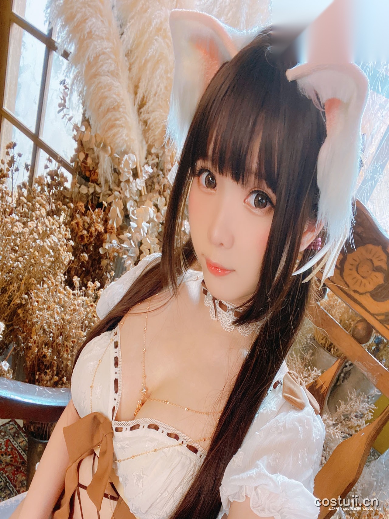 霜月shimo – 全套177期含随包视频[44.7G-2026.8][网盘持续自动更新]